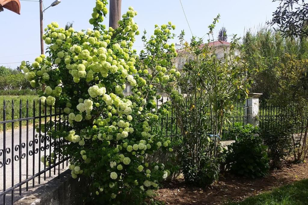 New Village Studios, Preveza A3 Zewnętrze zdjęcie